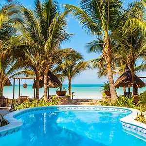 holbox-dream.quintano-roohotels.com/
